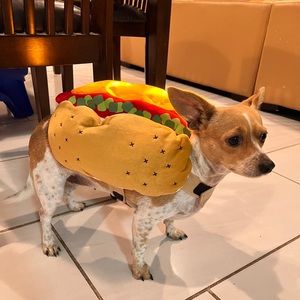 Meet your Posher, Wendy